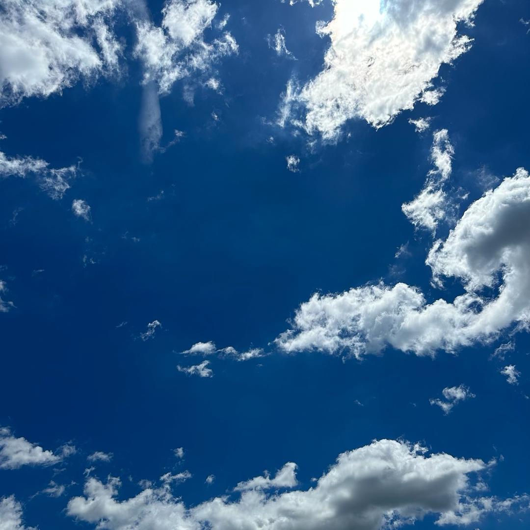 成成成