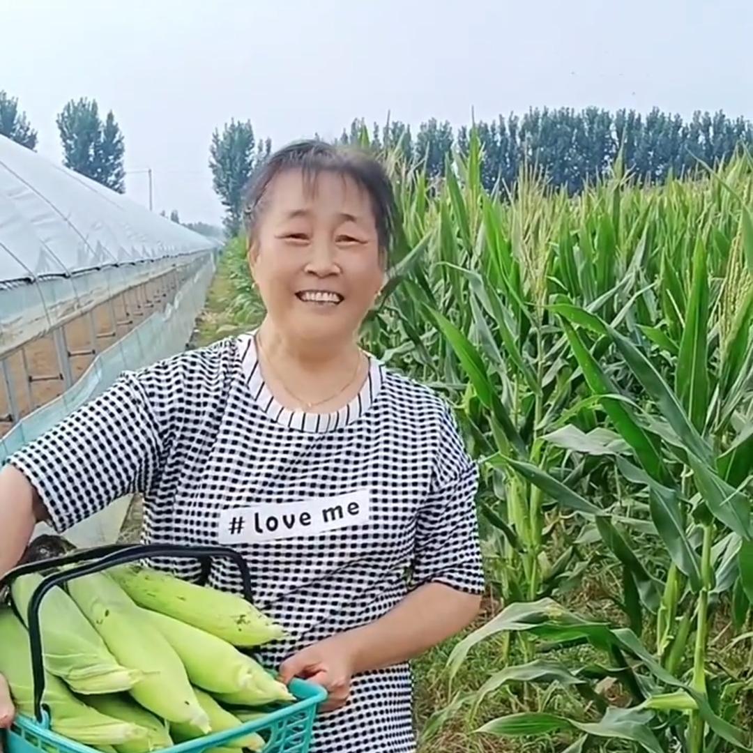优雅绿源家庭农场
