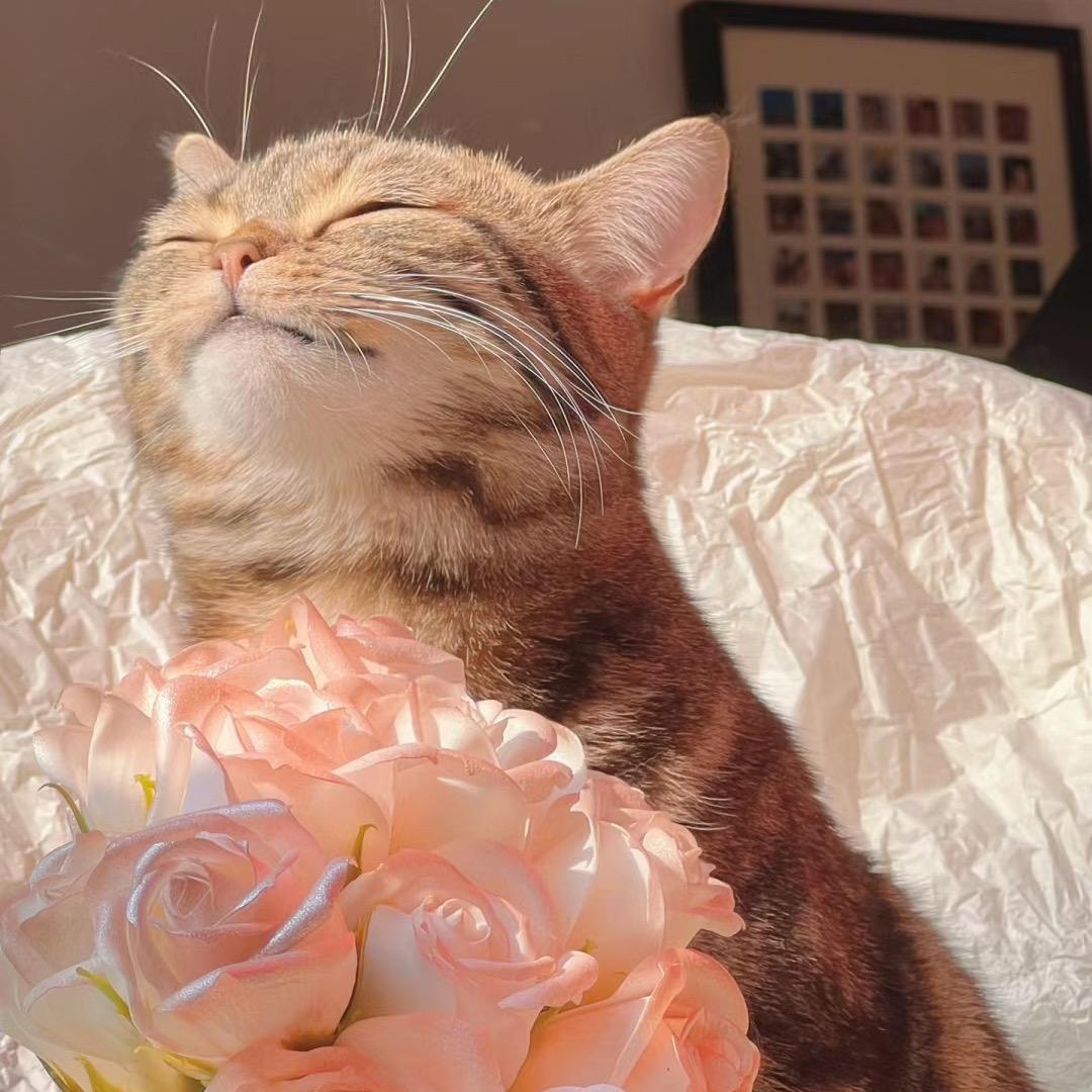 千与Nail(接单ing)