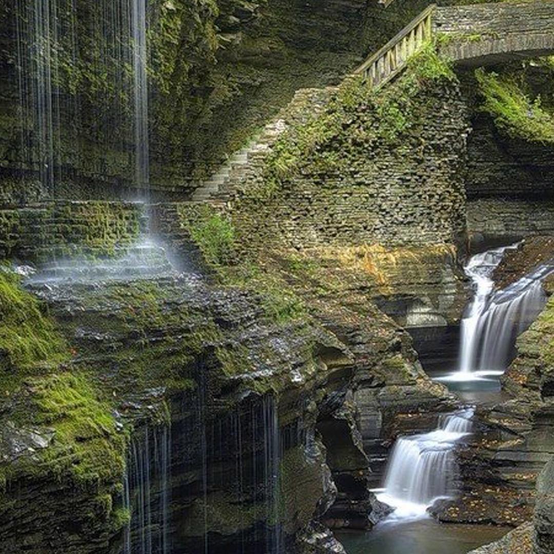 空气中都是💰的味道