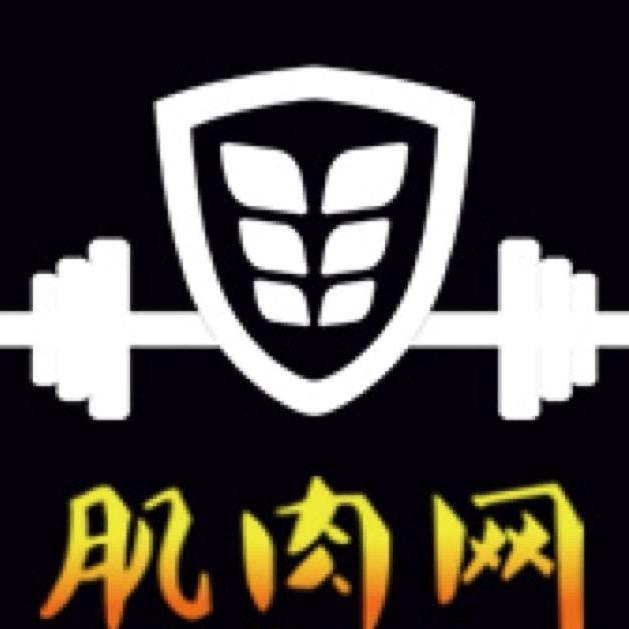 肌肉网