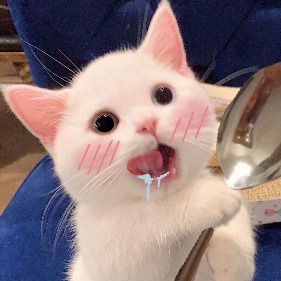 小可大王