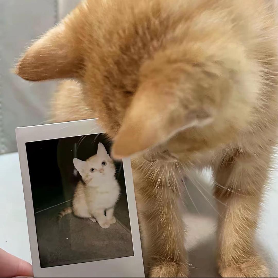 慢慢