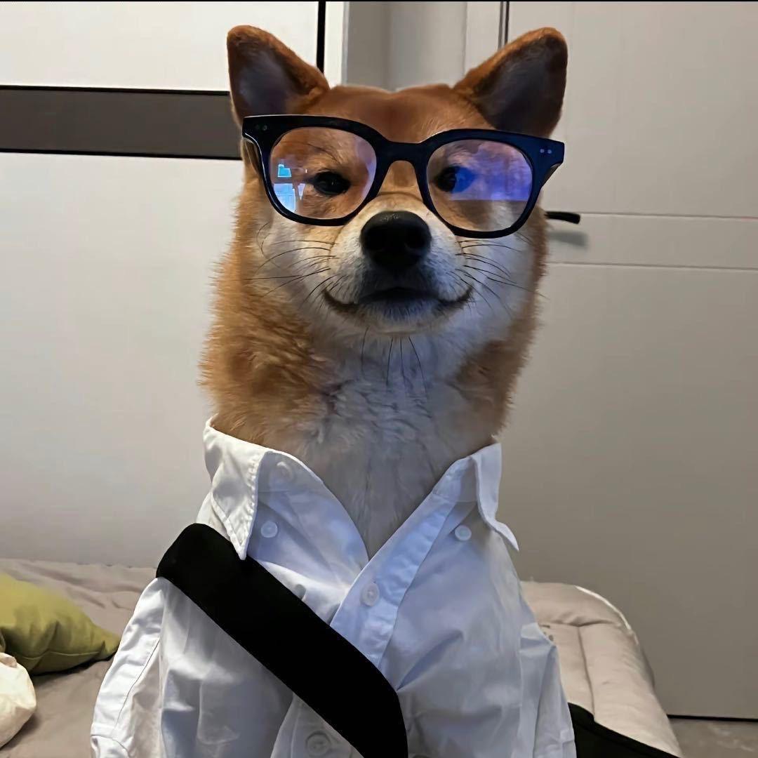 清水疯子