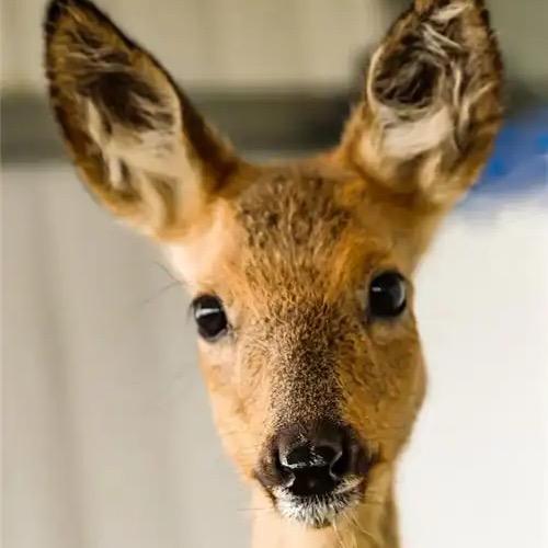 俺也一样¹²₁₄