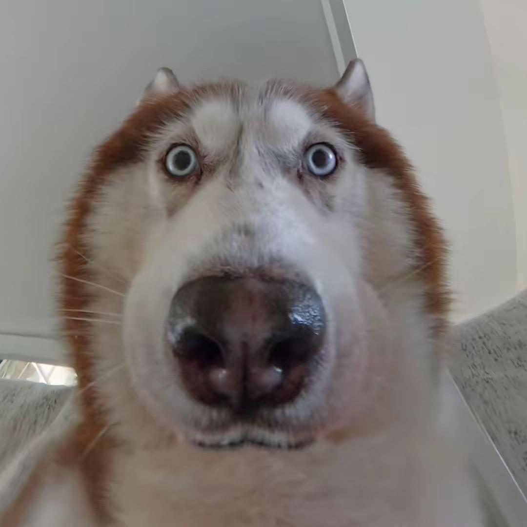 兆丰年·老北京铜火锅·曹县烤羊肉