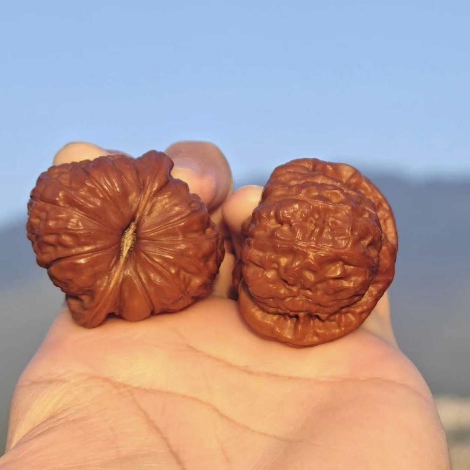 雅核寄卖回血行