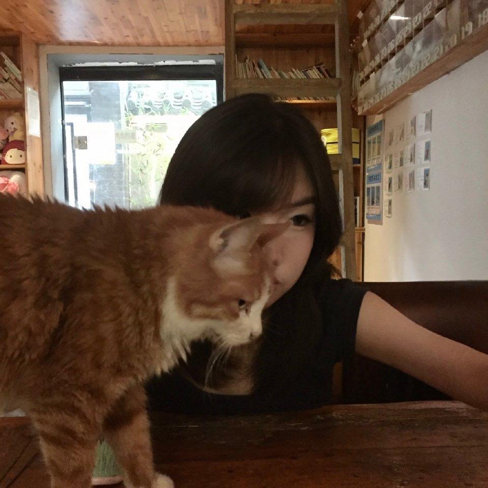 zjp
