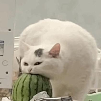 不值不浪费头像
