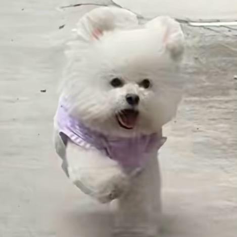 不当悲观主义者