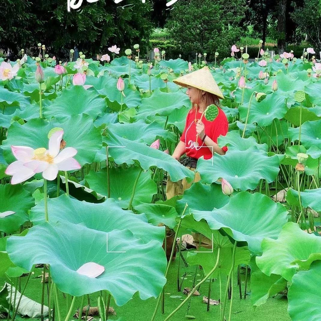打雷的雷