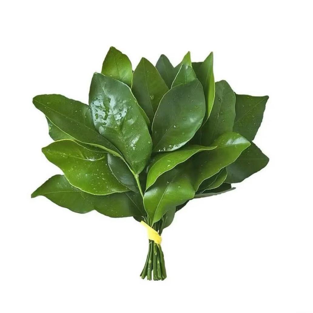 睡个懒觉呼呼呼