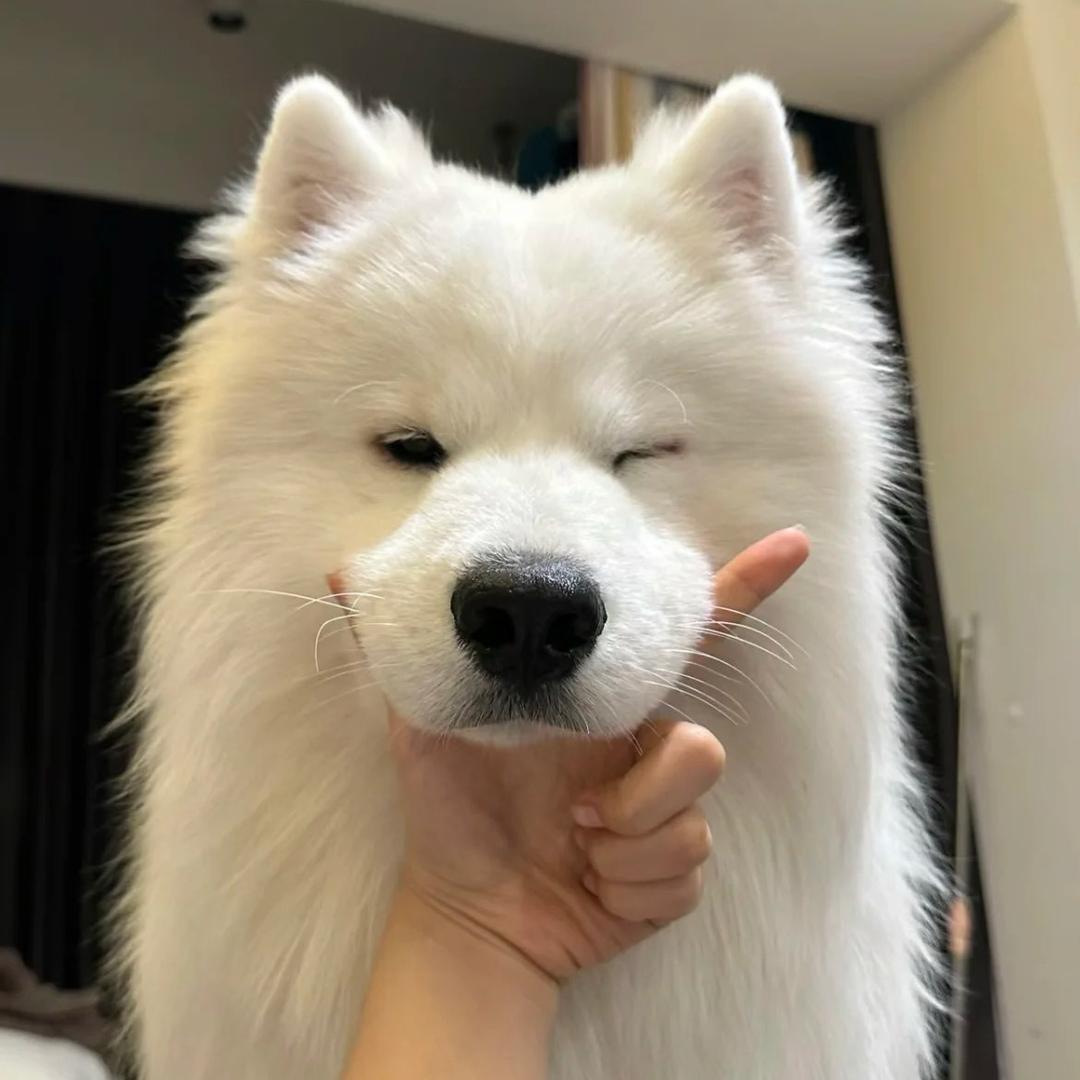 反方向的钟_