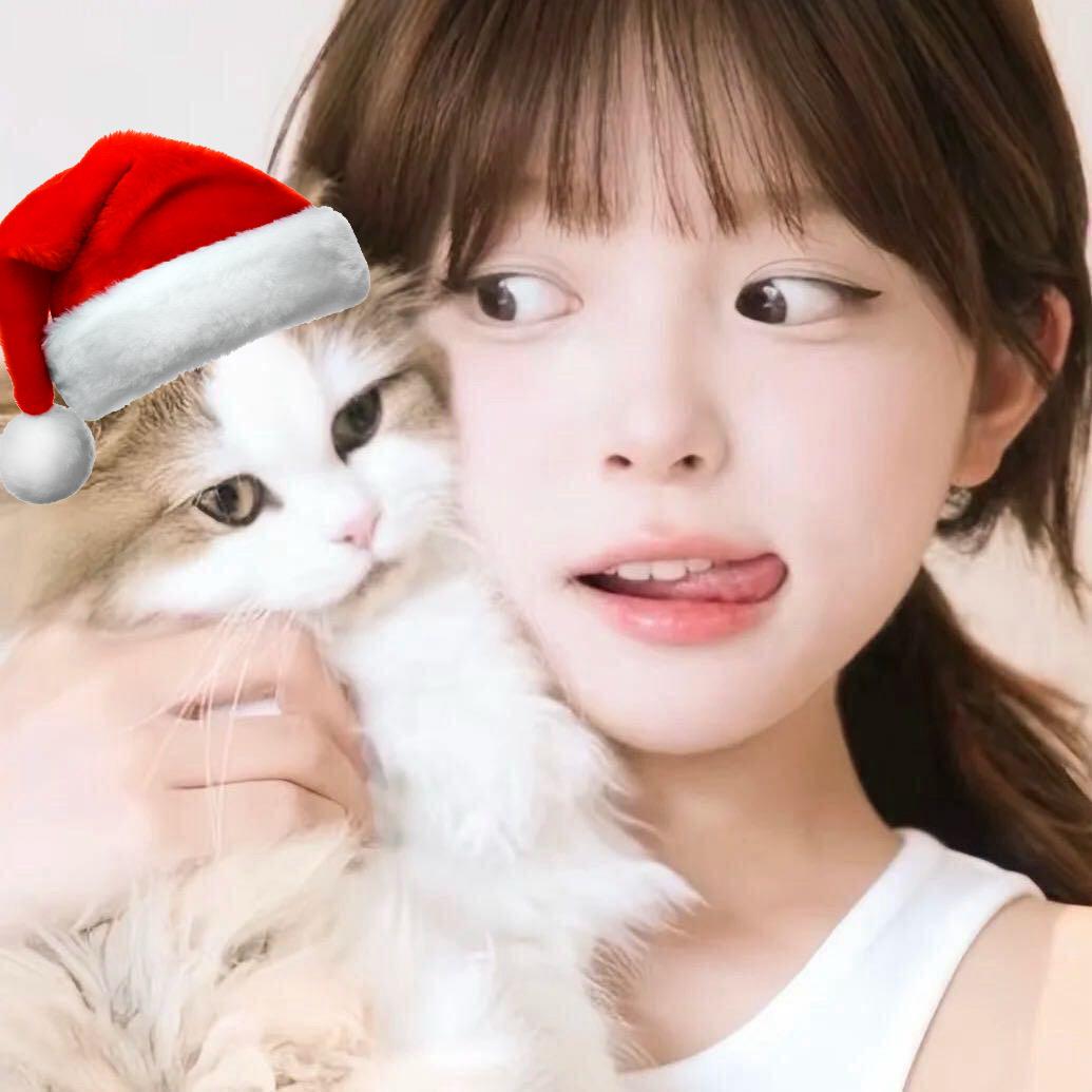 奶油包🐈