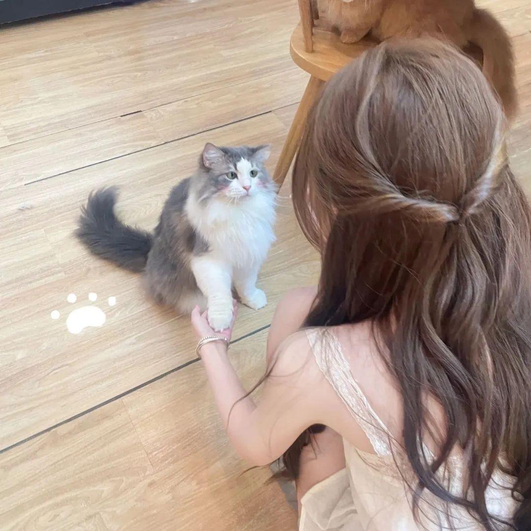金猪猪🐷