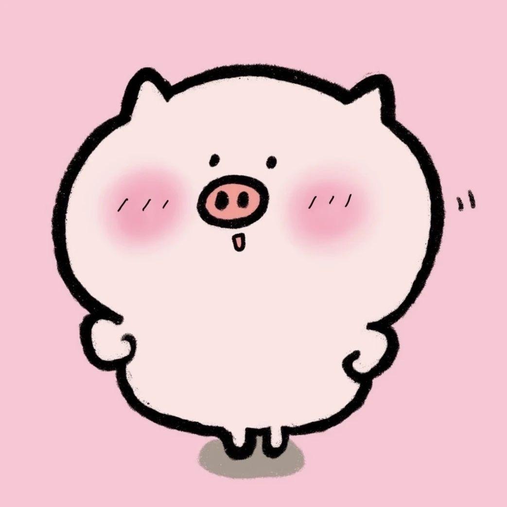 猪饱饱啦🐽（橱窗好物）