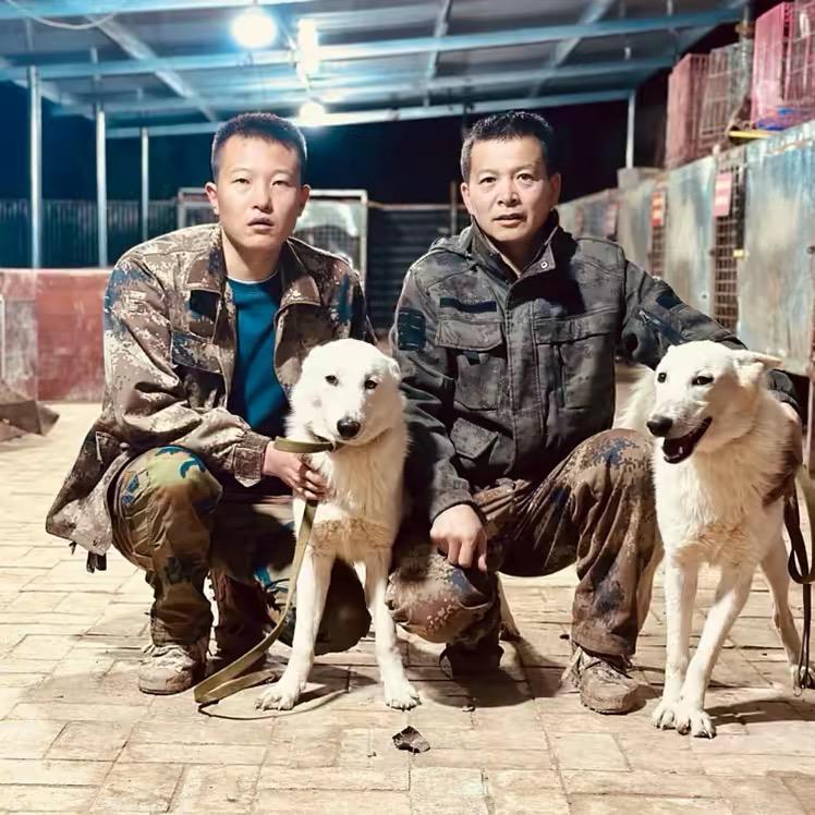 极致狩猎（西北刀客切片）