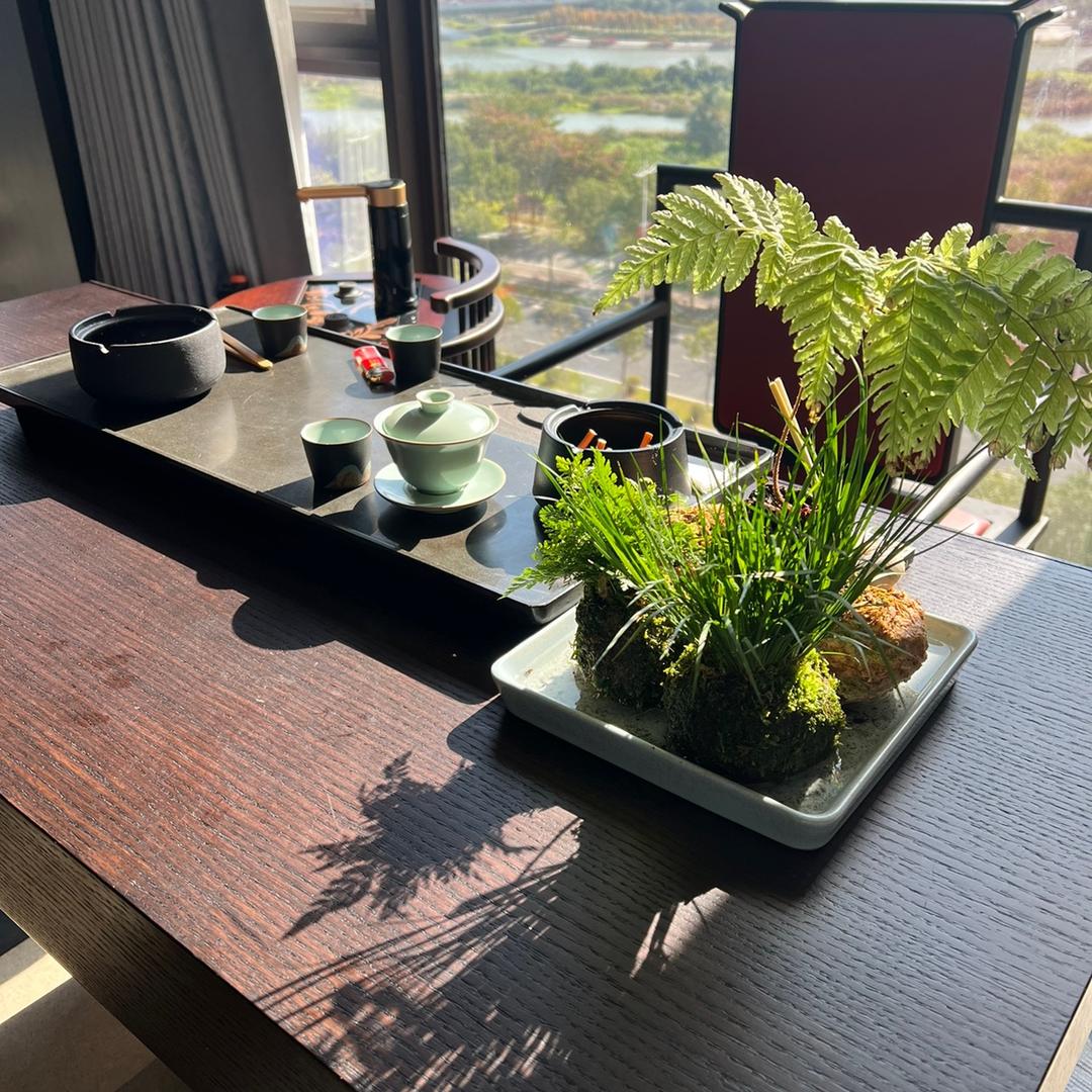 元墩墩鸭