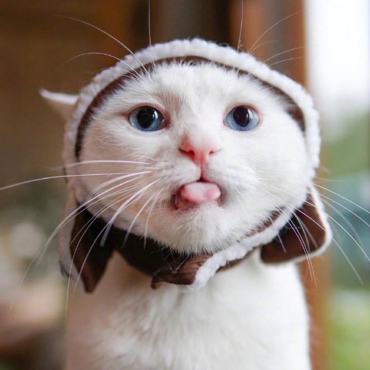 一点咸