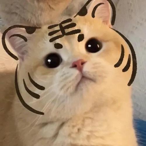 小杨¹⁹⁹⁸
