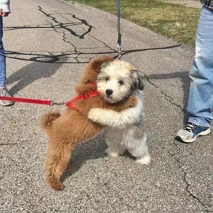 希望小易永远开心