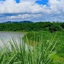 天浩良品日本进口家居