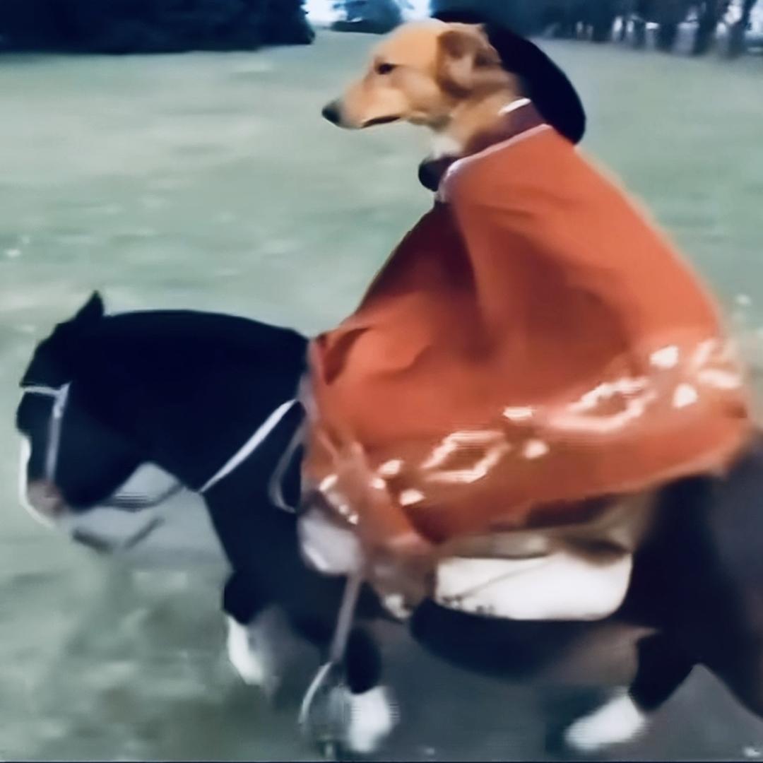 镌凝