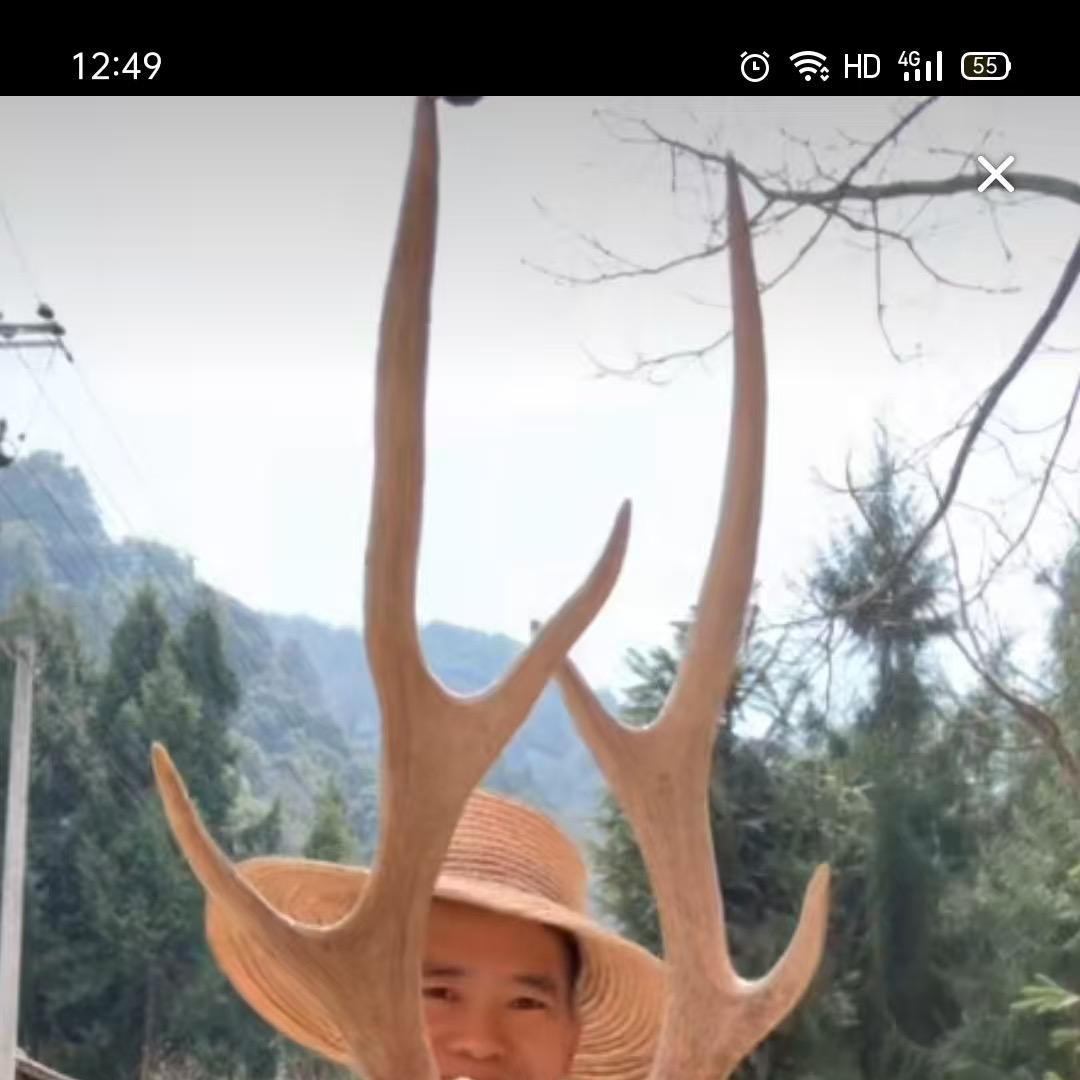 阿名山货铺1号