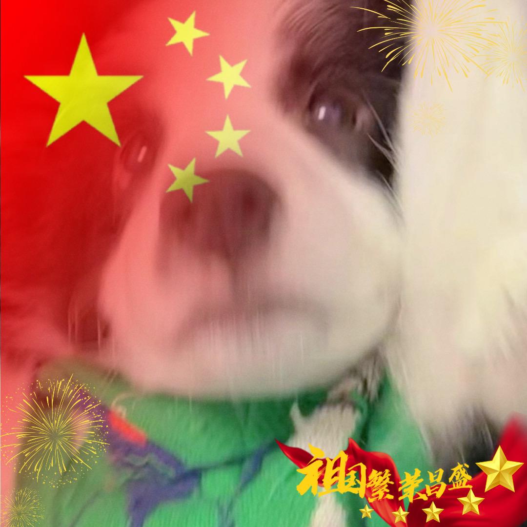 糕点店满星通关