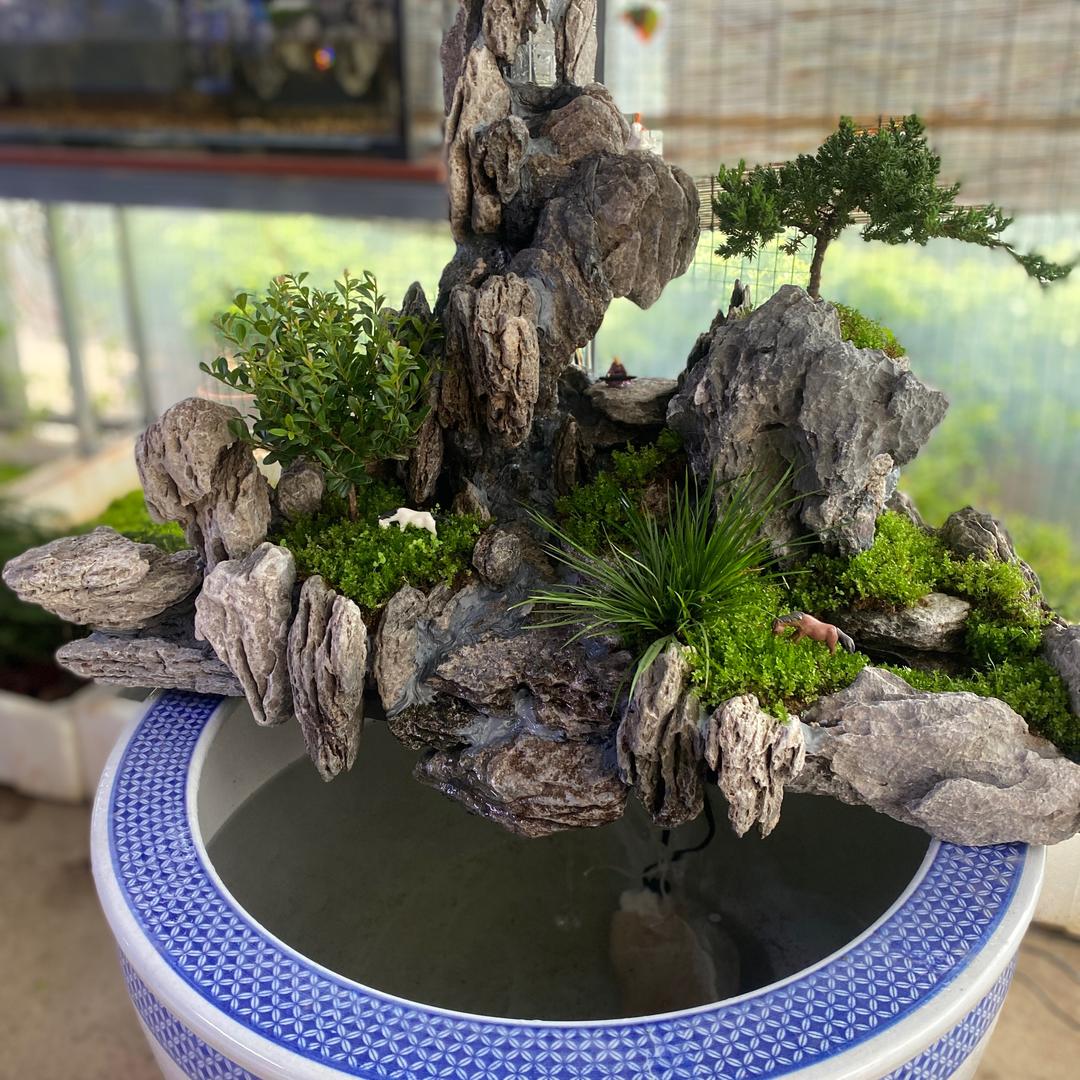 燕子姐《生态景观》