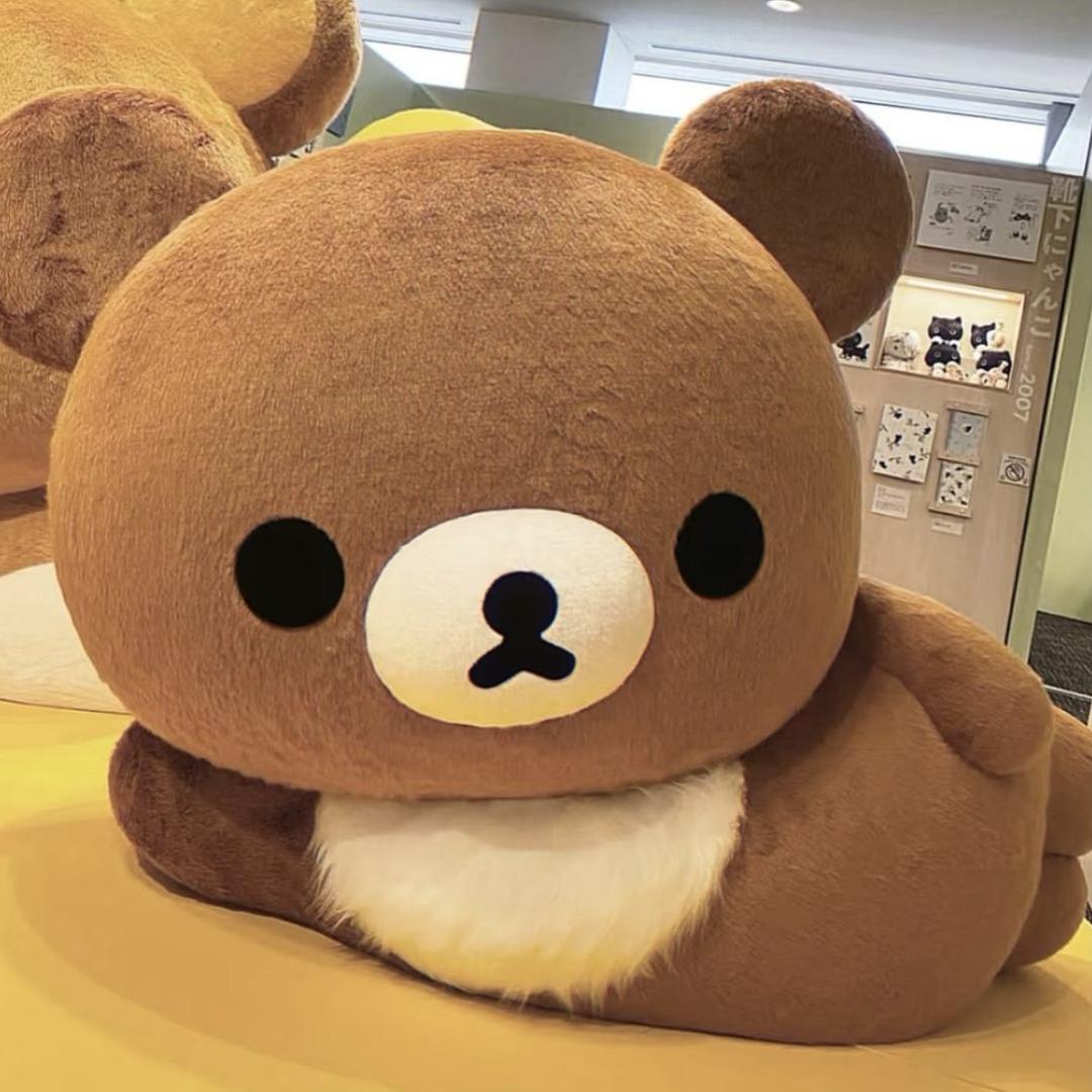 内向の潘少