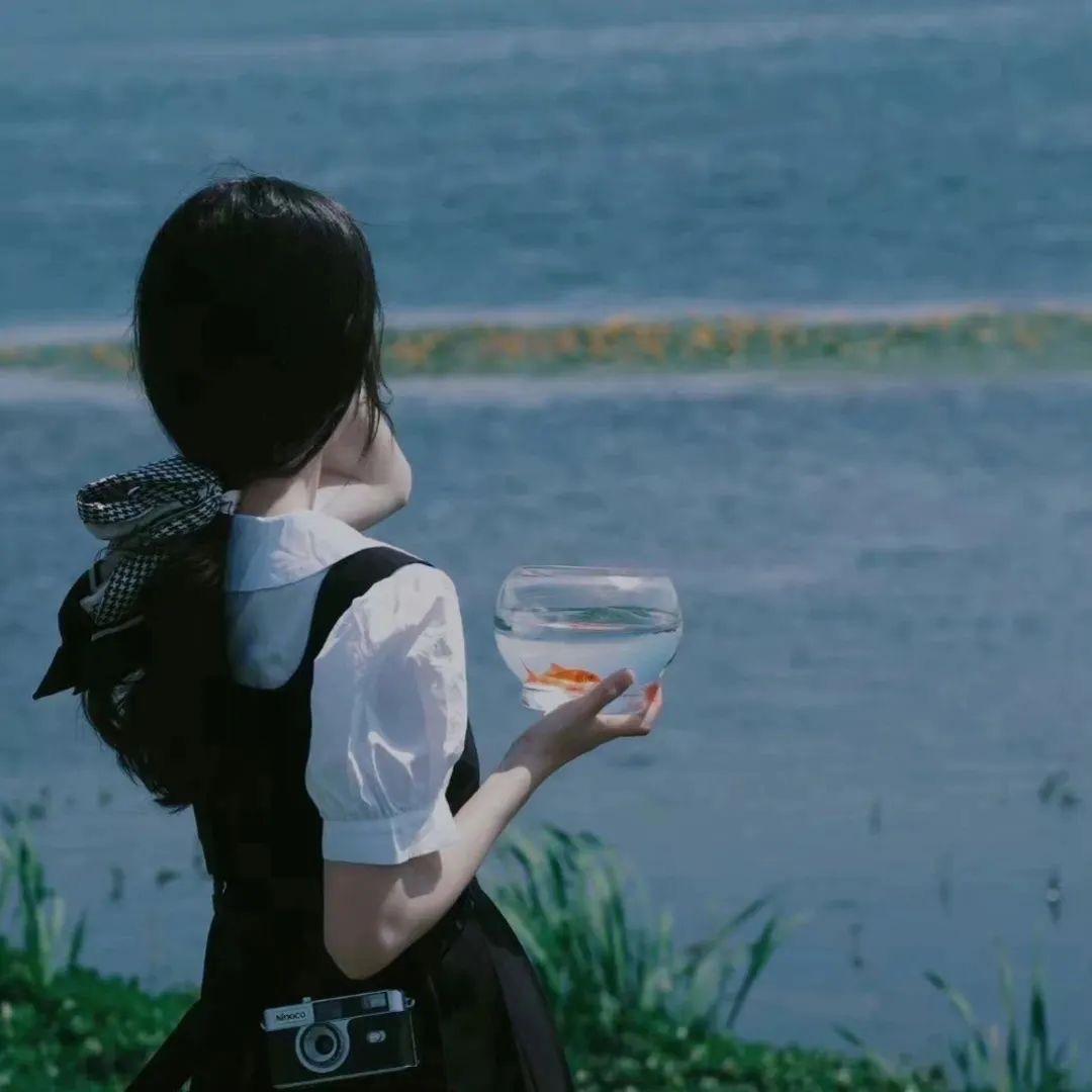 流萤晚风