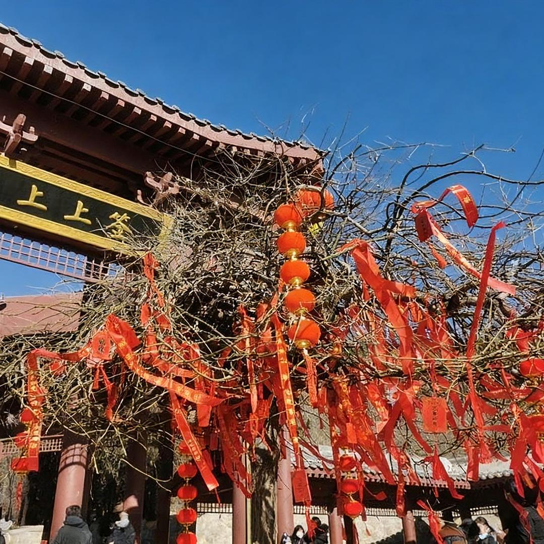 上上签丝绸行