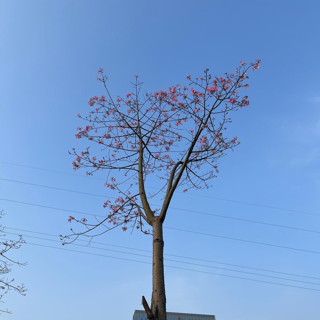 牛牛不牛
