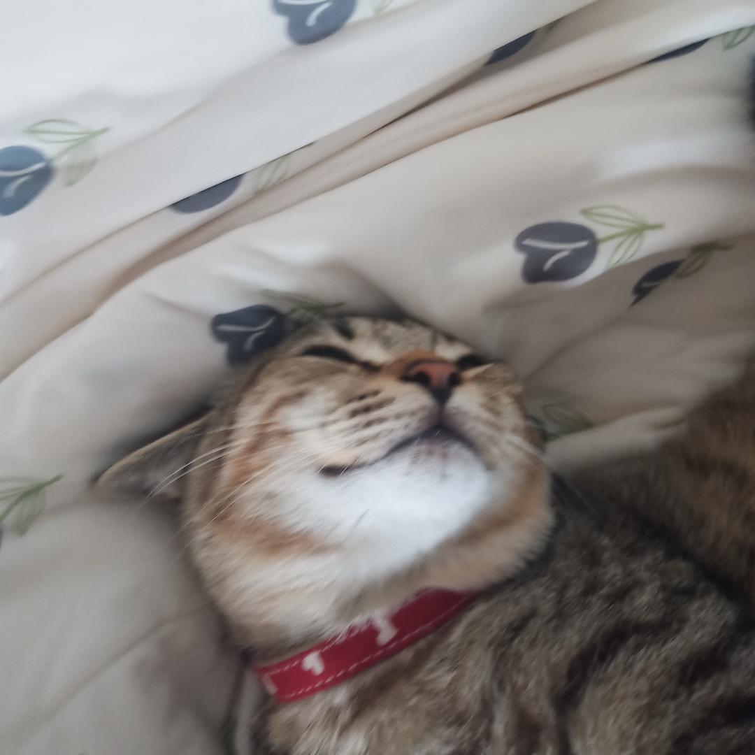 Fluffy