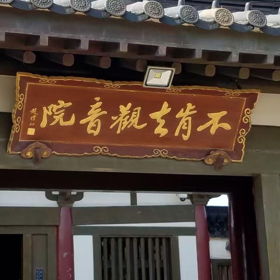 20521864545