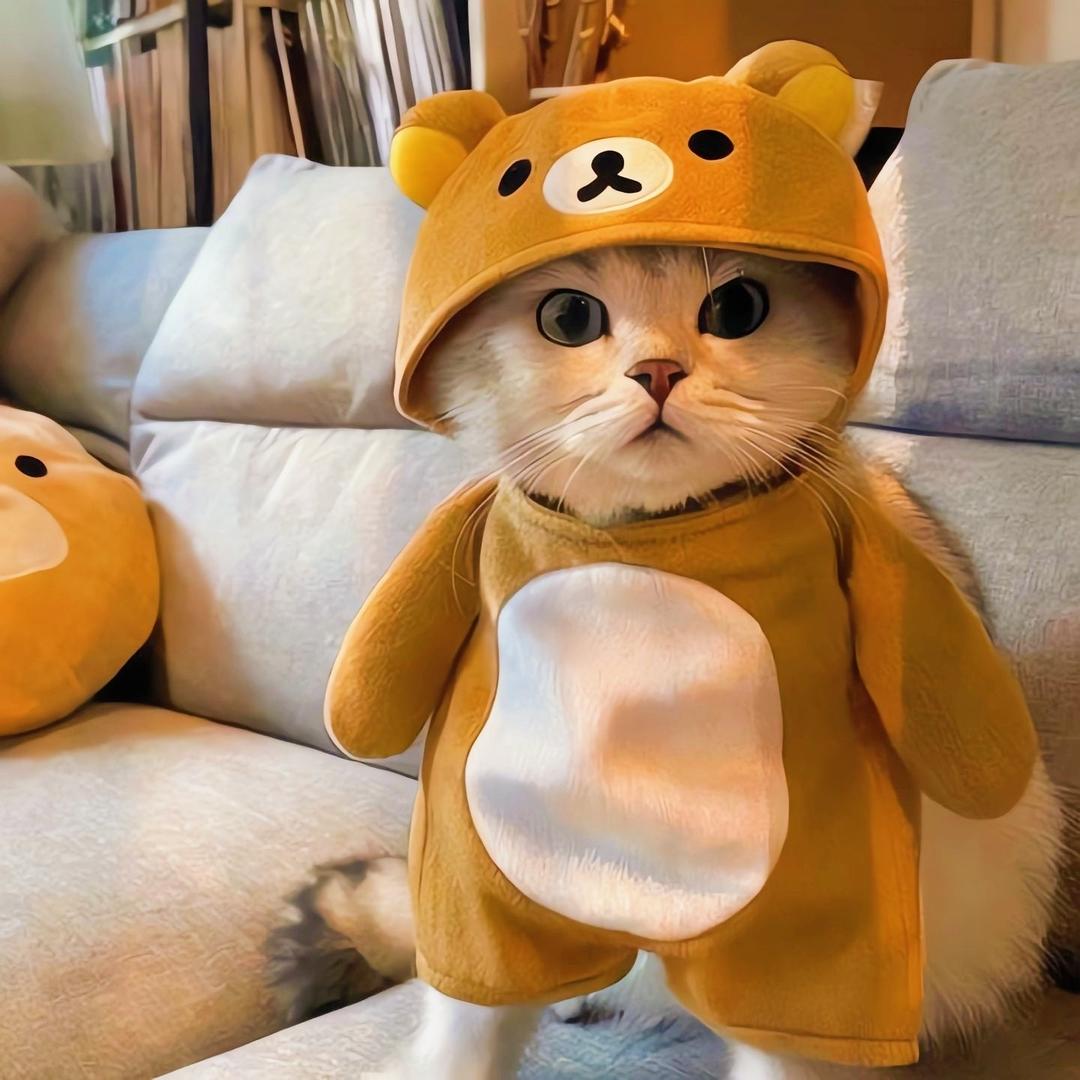 。。。