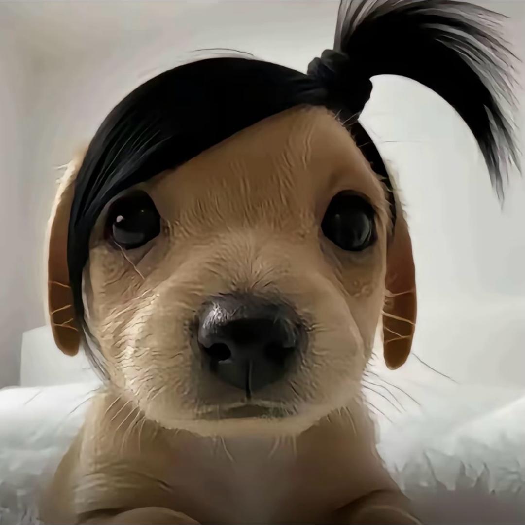 一朵风中摇曳的水仙花