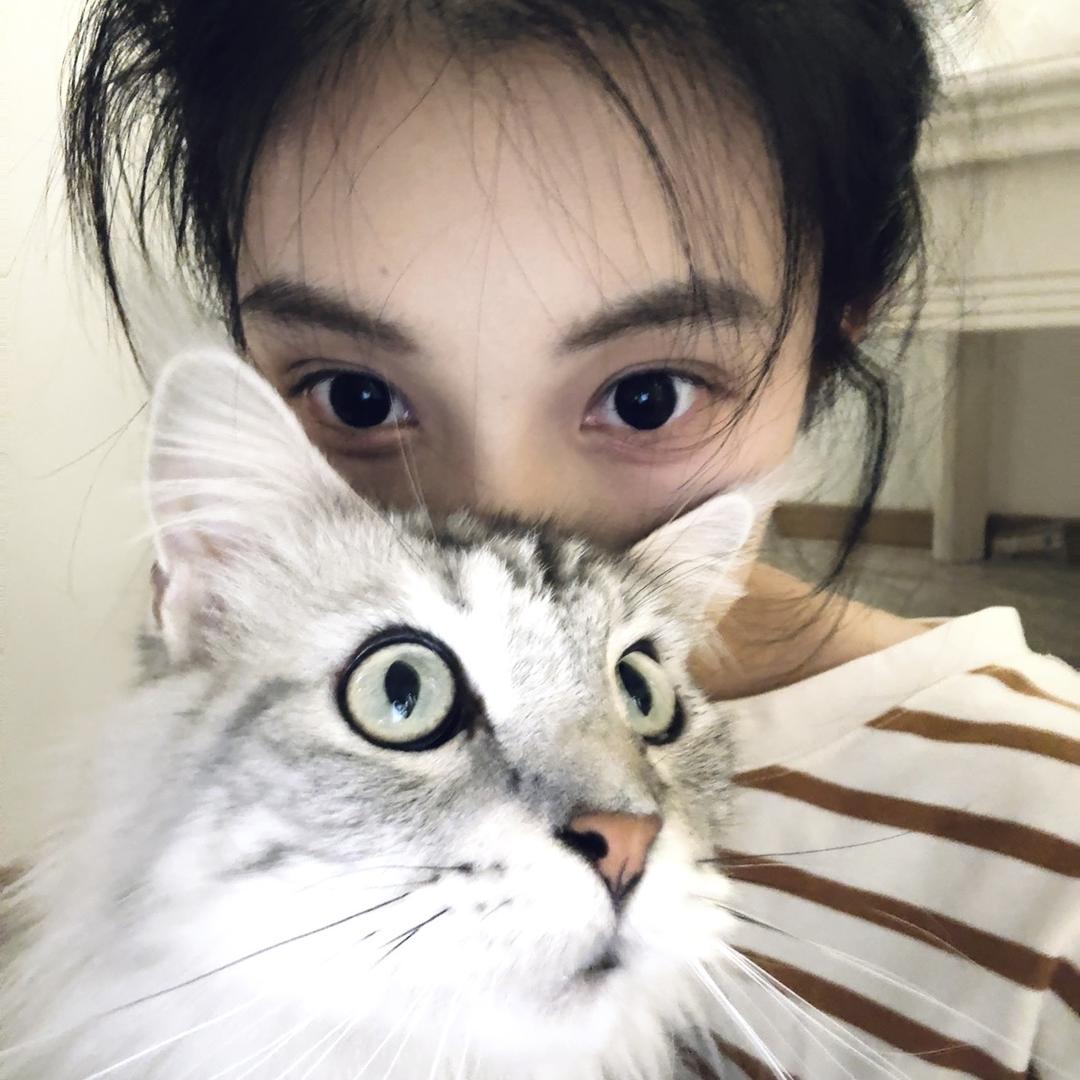 江来