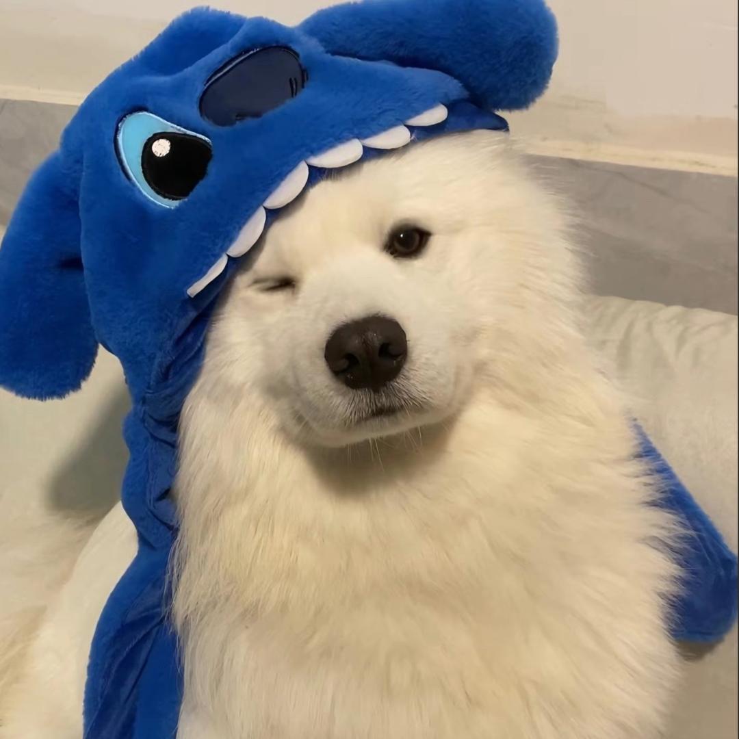 起风了