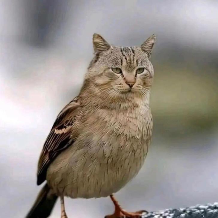 小兔子母婴玩具