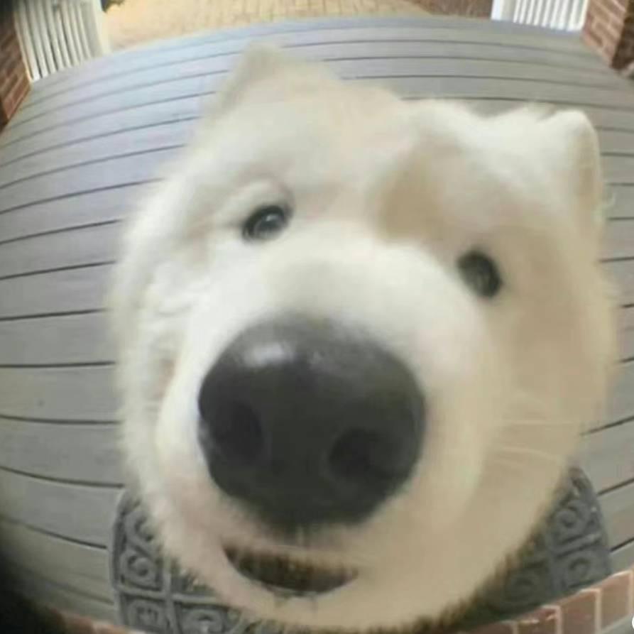 哦 吼