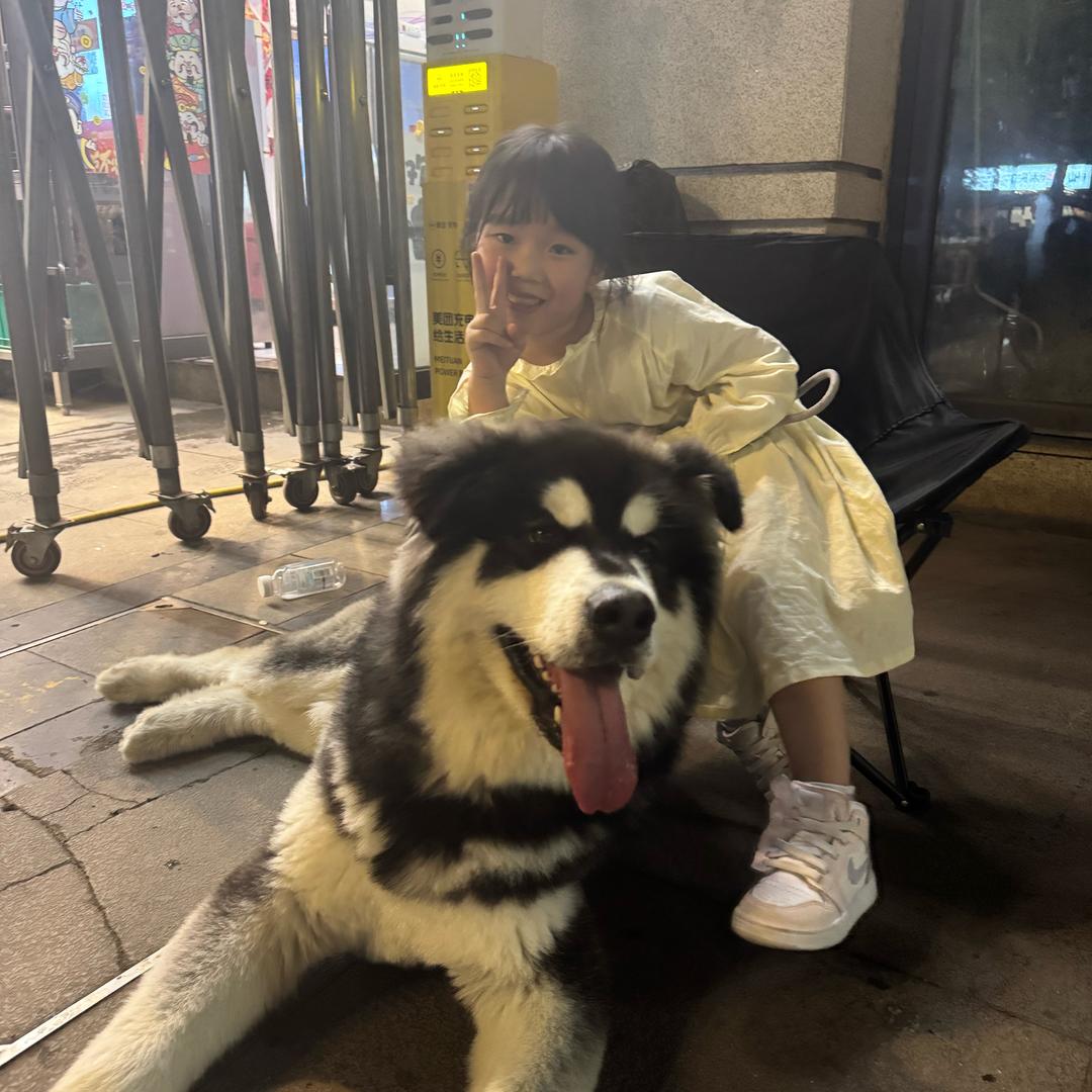 饭饭 超爱吃