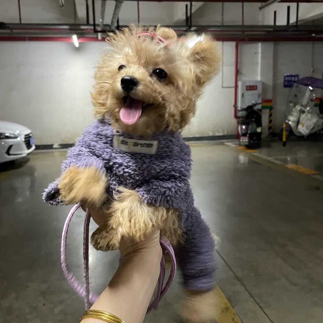 木子家居生活屋