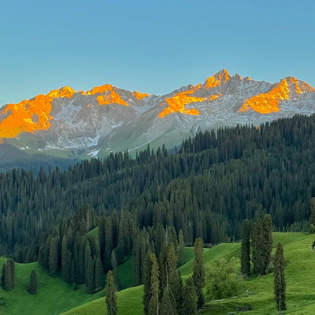 新疆旅游（丹丹）