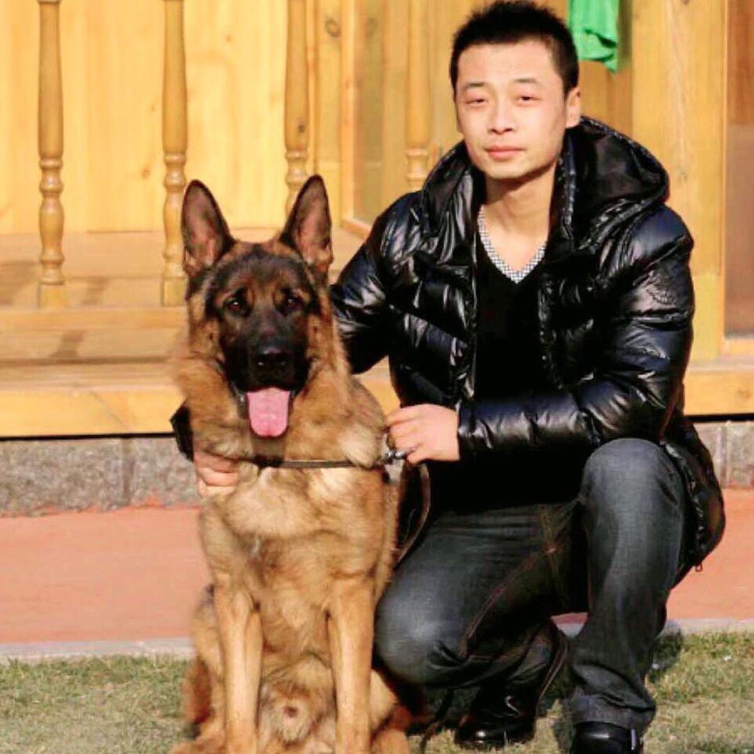 与狼伴