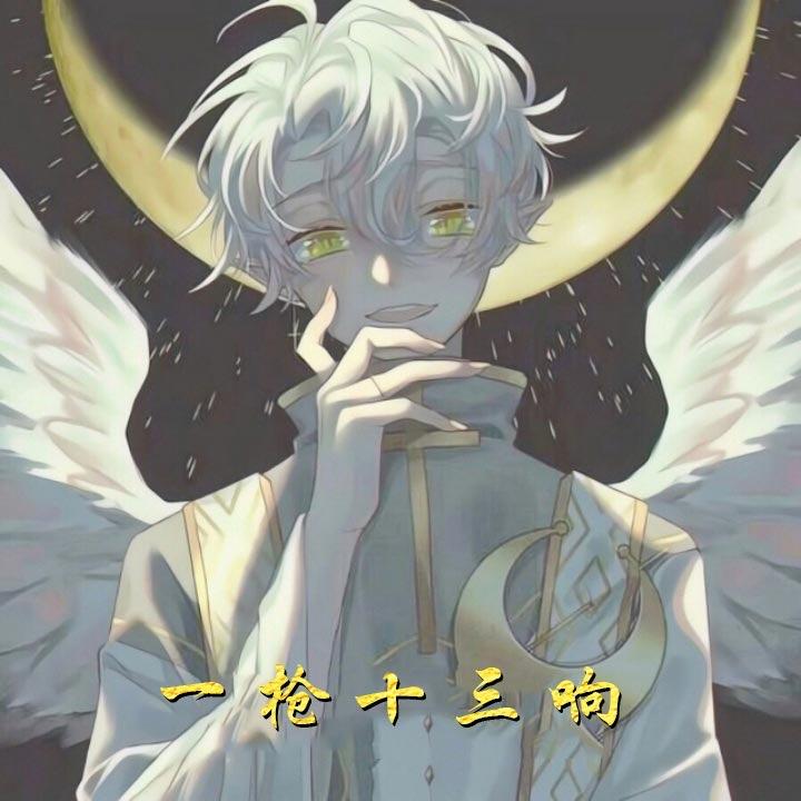 一枪十三响