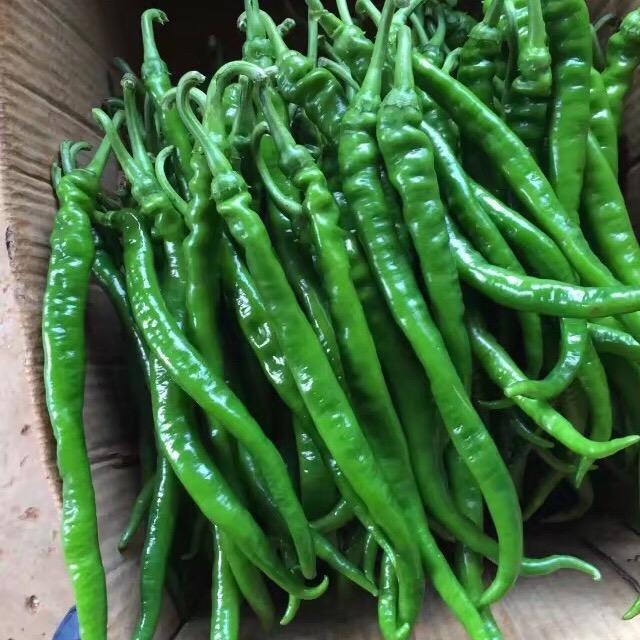 城镇农夫-黄老三