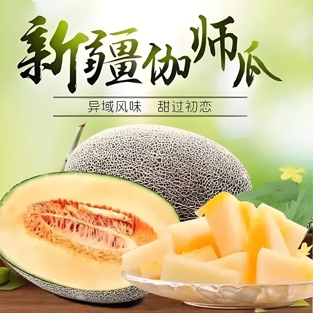 新疆特产优品甄选