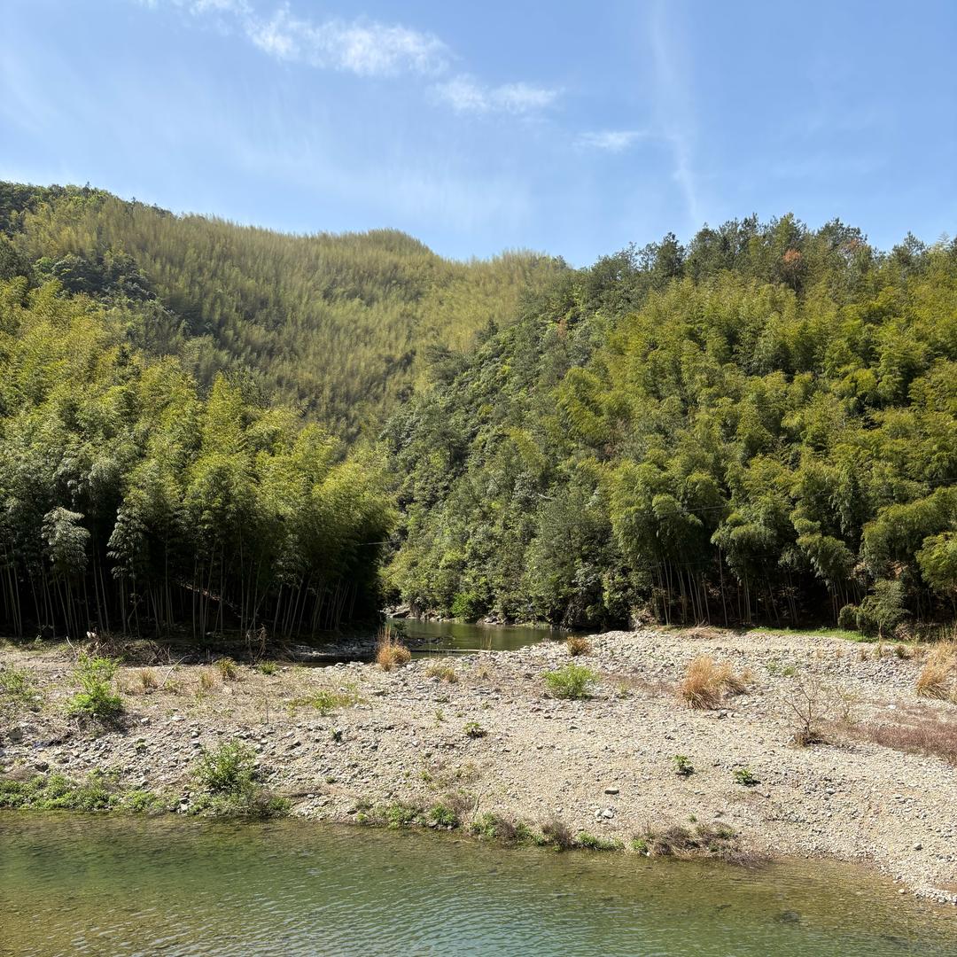 小九